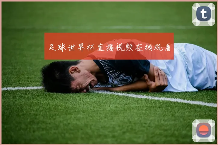 足球世界杯直播视频在线观看