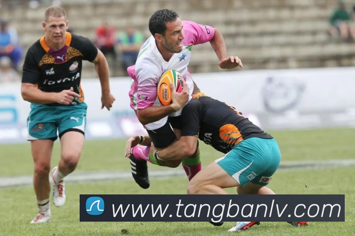 多媒体互动体验